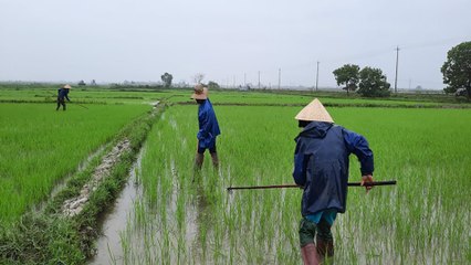 Những người nông dân trả lại màu xanh cho đất | VTC
