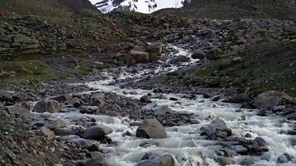 Pilgrimage to Mt Kailash