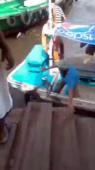 Qurbani Cow Jumped into Sea Water