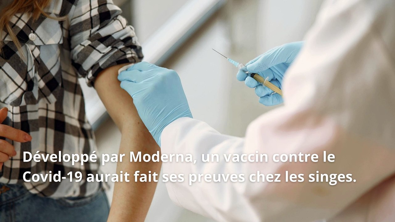 Un vaccin contre le Covid-19 a montré des résultats prometteurs sur des singes