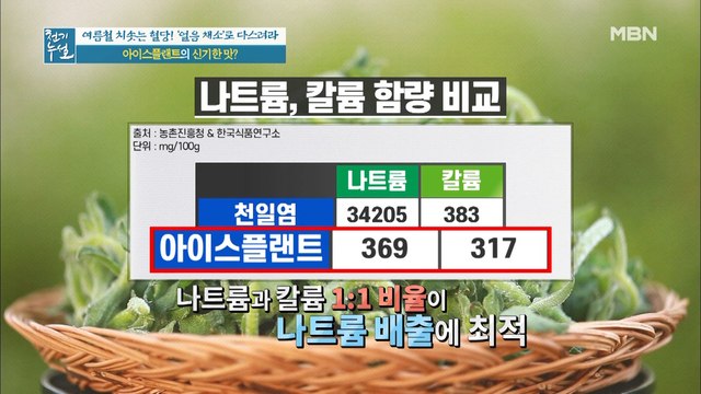 아이스플랜트, 짜지만 혈당 관리에 좋은 특별한 이유