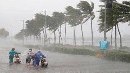 Áp thấp nhiệt đới có khả năng mạnh lên thành bão | VTC