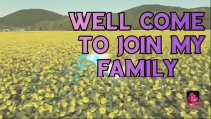 coriander cultivation /ধনে পাতার চাষ।