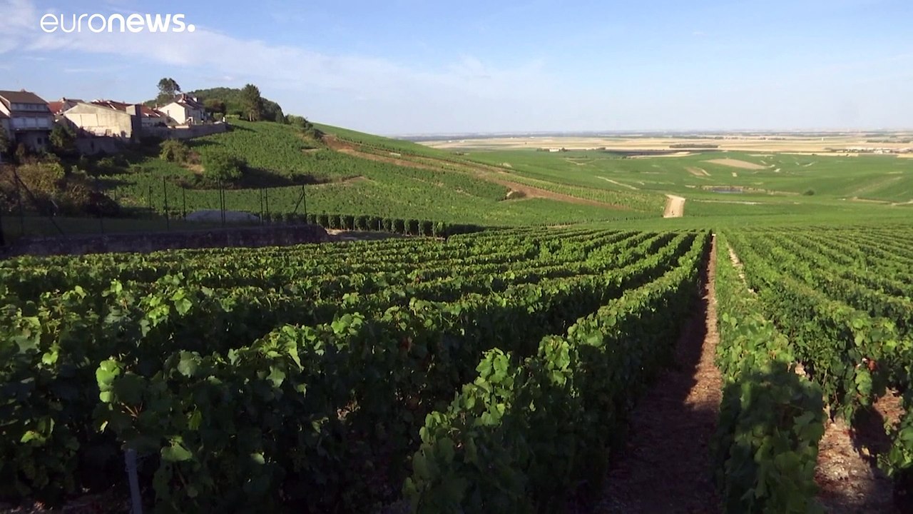 Weinen um den (Schaum-)Wein