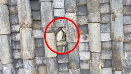 집중호우로 고창 선운사 대웅전 등 문화재 13건 피해 / YTN