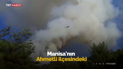 Manisa'da ormanlık alanda yangın