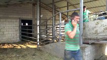 Türk Kızılay, Kuzey Makedonya’da 3 bine yakın aileye kurban eti dağıtacak - ÜSKÜP