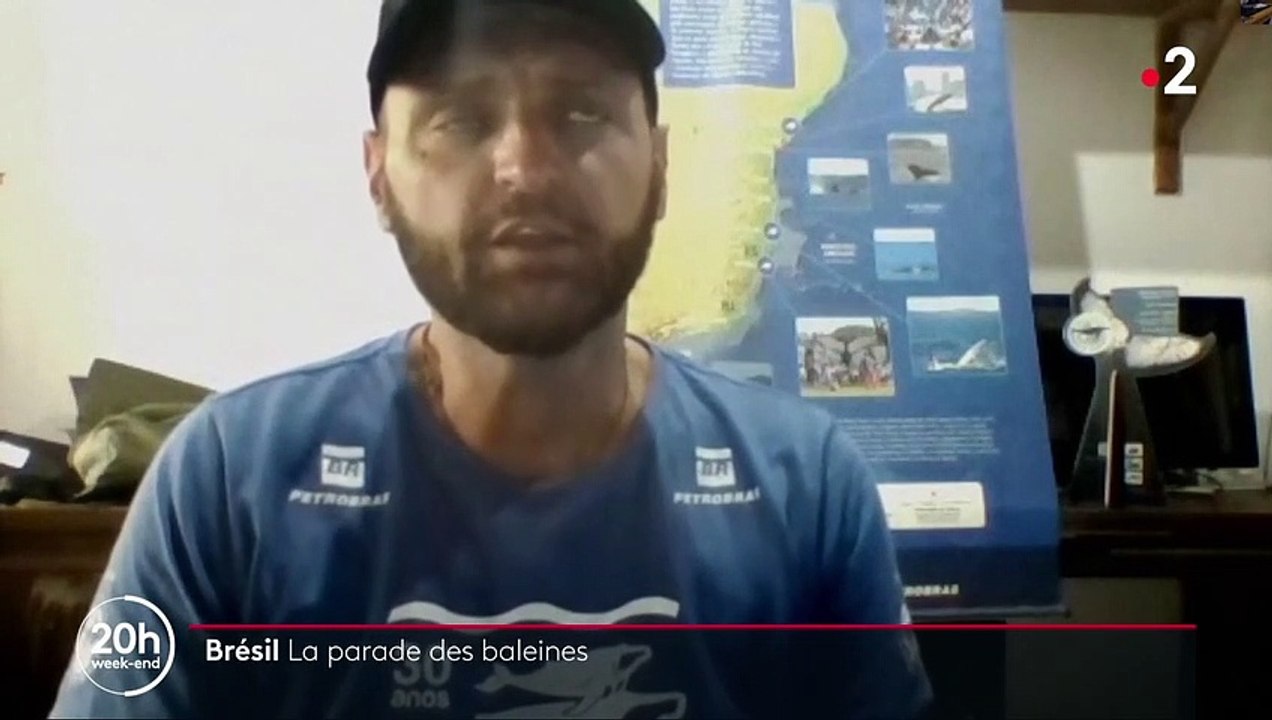 Brésil : quand les baleines font la parade