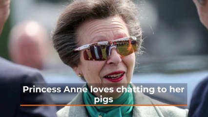 Princess Anne With The Pigs