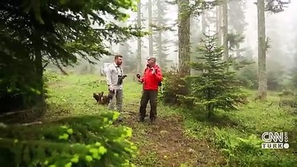 Az rastlanan paçalı baykuş görüntülendi | Video