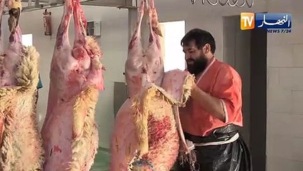 الوادي: عمي عمار.. 64 سنة في مهنة الجزار