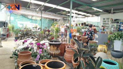 +qn-Llene-la-casa-de-plantas-personalizada-para-su-hogar-310720