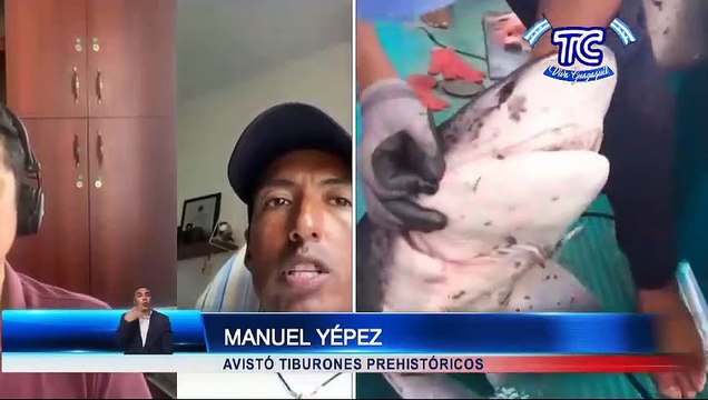 Descubren tiburones de características prehistóricas en Galápagos