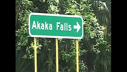 Bottle Hunters Of Hawaii #9 Bottle Swap!!!