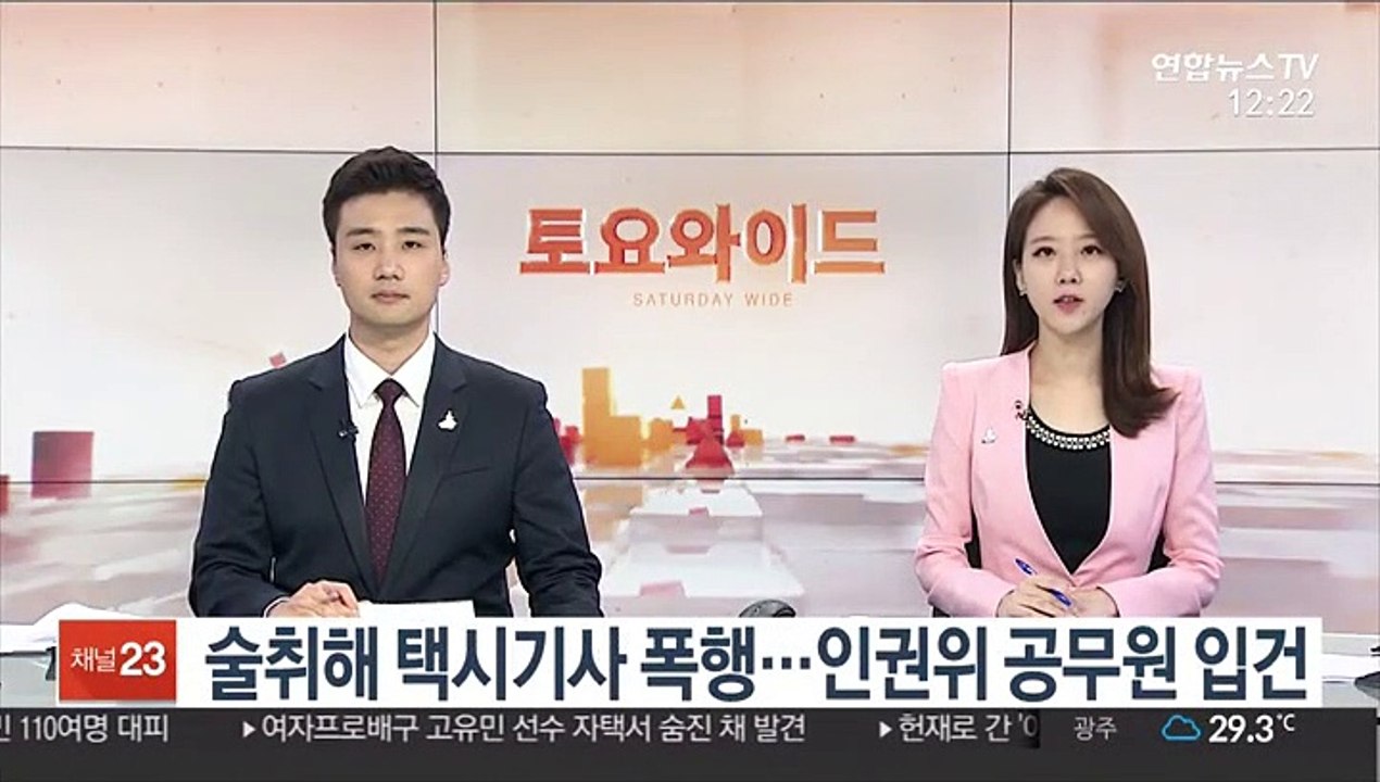 술취해 택시기사 폭행…인권위 공무원 입건