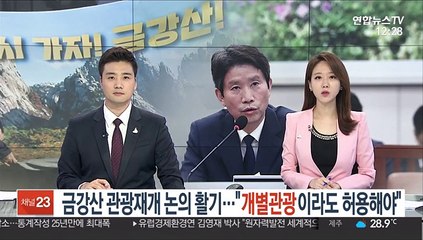 금강산 관광재개 논의 활기…"개별 관광이라도 허용해야"