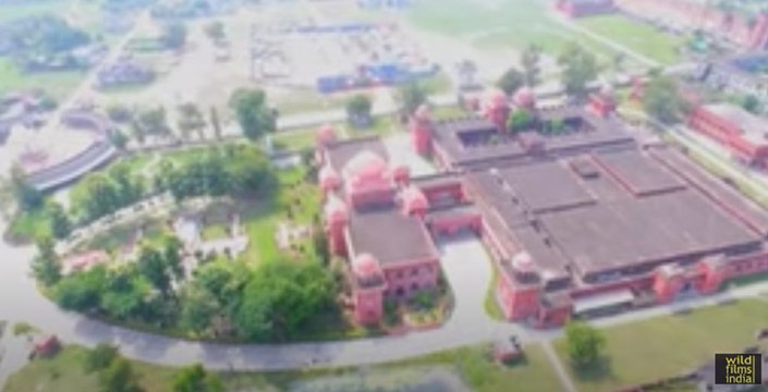 Mithila Paintings or Madhubani paintings of Bihar