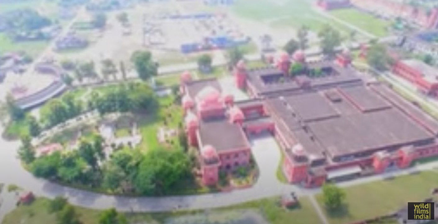 Mithila Paintings or Madhubani paintings of Bihar