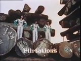 The Flirtations - Give me love, love, love 1969