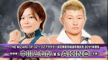 AKINO vs. Tomoka Nakagawa 2014.06.04