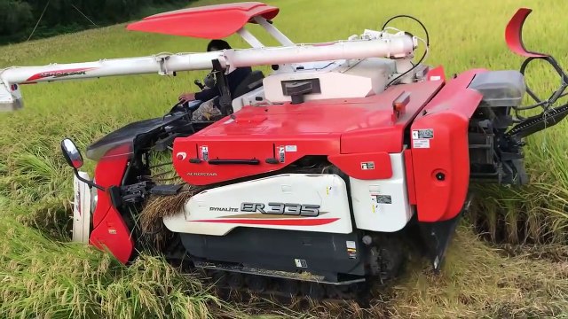 Amazing Rice Harvester in Japan ,rice harvesting machine, rice harvesting, rice harvesting machine in india, rice harvesting machine price, rice harvesting in india, rice harvesting japan, rice harvesting machine in india price, rice harvesting machine in