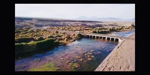 Audi Q8 /2020/dream cars/official video/automotive