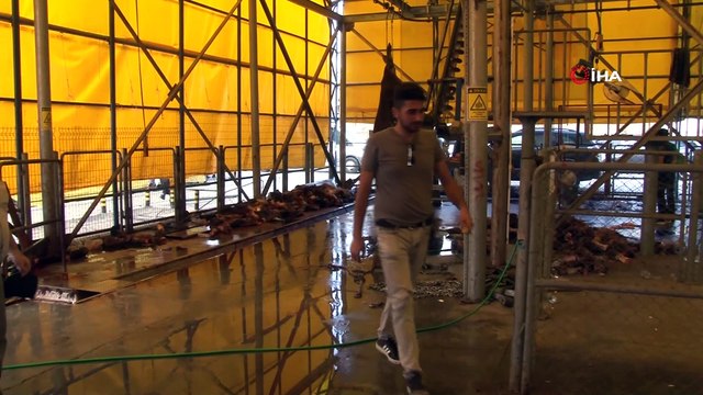 İBB kurban kesim alanında kasaplar kaçtı vatandaş kendi kurbanını kendi kesti