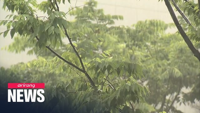 Heavy rain warning issued in central regions, Seoul to see 80mm of rain per hour