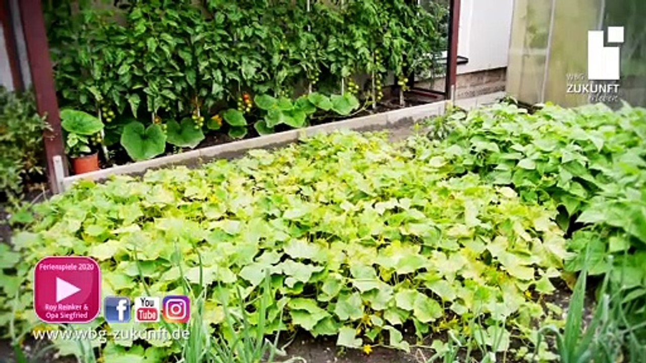 "Obst und Gemüse" Ferienbeschäftigung im eigenen Garten mit Bauchredner Roy Reinker & Opa Siegfried - WBG Zukunft - Erfurt - Video von Karrideo Imagefilm-Produktion©®