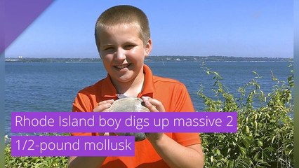 Rhode Island boy digs up massive 2 1/2-pound mollusk, and other top stories from August 01, 2020.