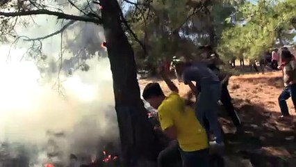 Gaziantep'te çıkan orman yangını söndürüldü (2)