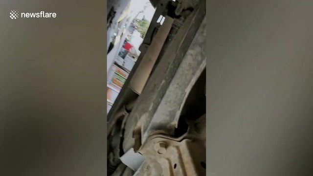 Adorable moment tiny kitten is rescued after getting stuck inside car engine