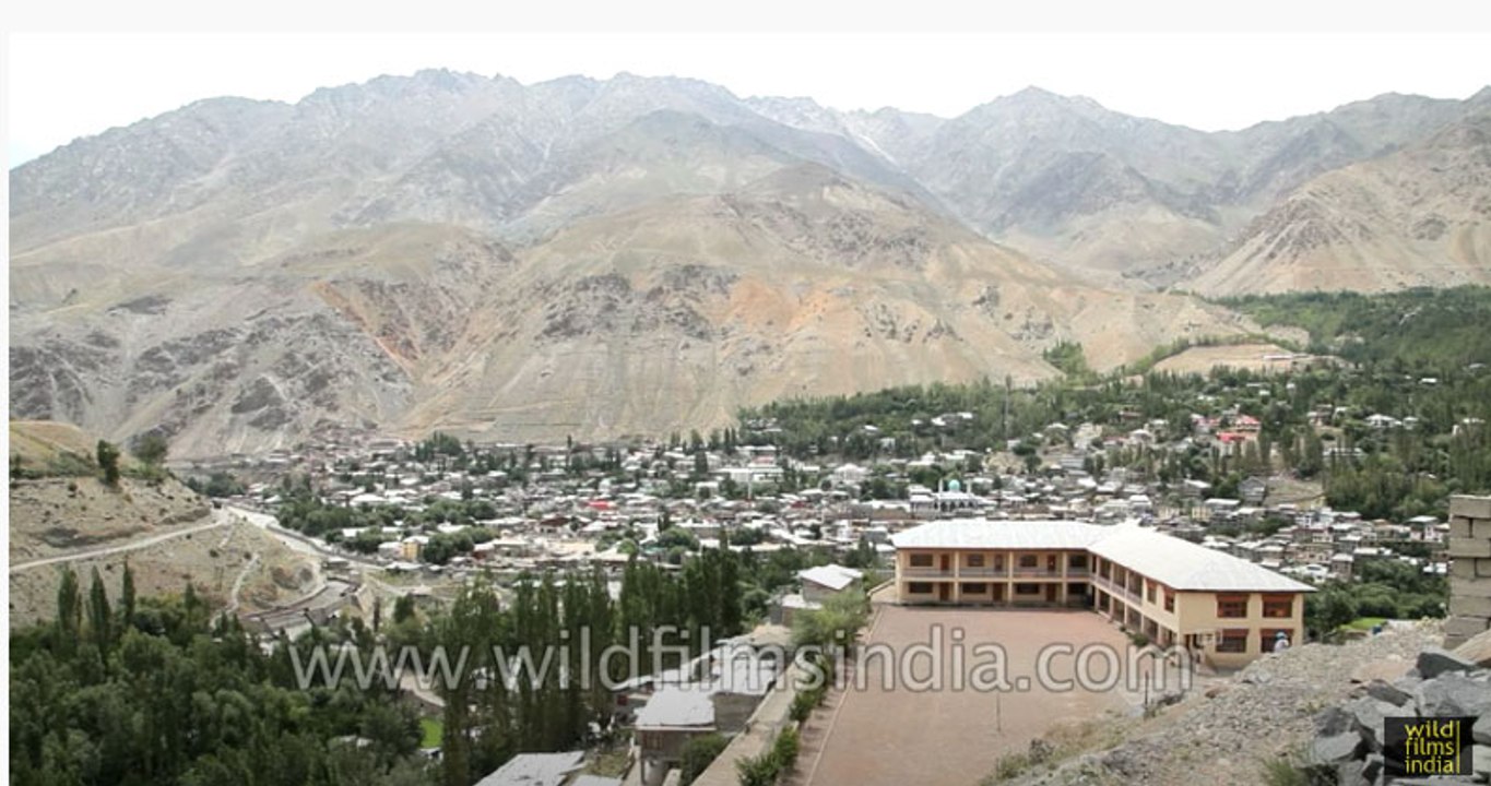 Aerial view of Kargil town, India