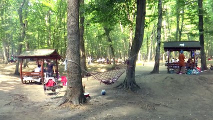 Belgrad Ormanı piknikçilerle hareketlendi - İSTANBUL