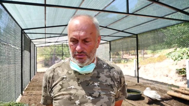 Spital për shpendët/ Prej një muaji u mjekuan një hutë, një pelikan dhe një shkabë
