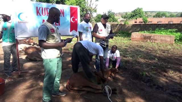 Türkiye'den Mali'deki ihtiyaç sahiplerine kurban yardımı - MALİ