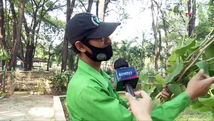 Satwa di Ragunan Tetap Terawat di Masa Pandemi Covid-19