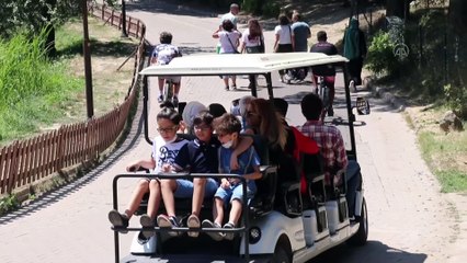 Gölcük'te tatilci yoğunluğu yaşanıyor - BOLU