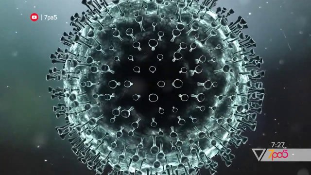 7pa5 - Te rejat e fundit te shkences per HIV – 13 Korrik 2020 – Vizion Plus