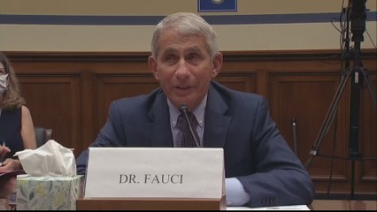 US: Fauci 'cautiously' optimistic 2021 will see COVID-19 vaccine