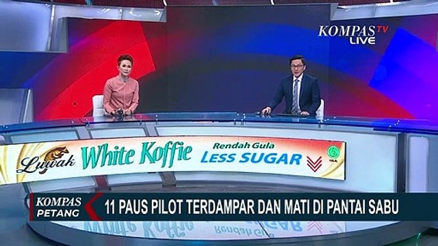 Ini Penyebab 11 Paus Pilot Terdampar di Pantai Lie Jaka