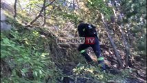 Vendoset nën kontroll zjarri në malin e Gjallicës, drejtori i zjarrfikëses: Të dielën u riaktivizua