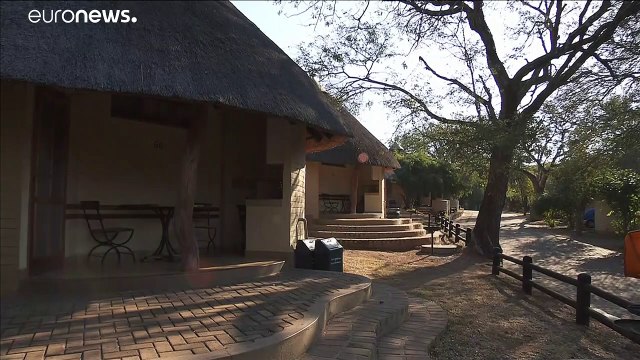 Sudafrica, la crisi economica dovuta al Covid favorisce il bracconaggio
