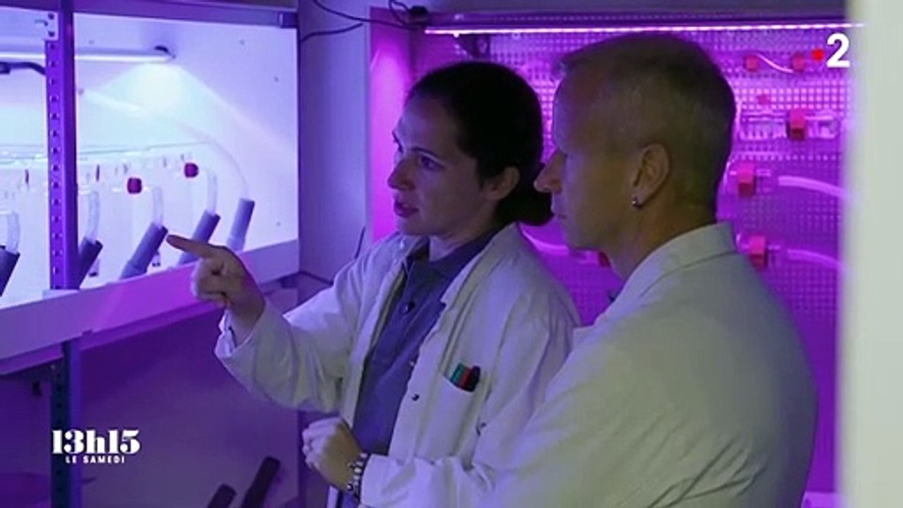 Comment des chercheurs français travaillent à la mise au point de nouveaux plastiques biodégradables en mer