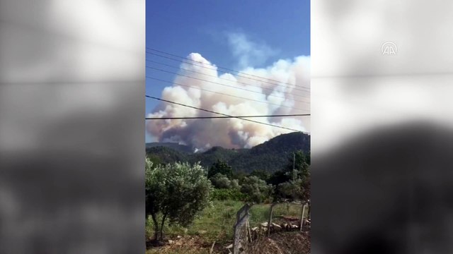 Gece kontrol altına alınan orman yangını yeniden başladı - MANİSA