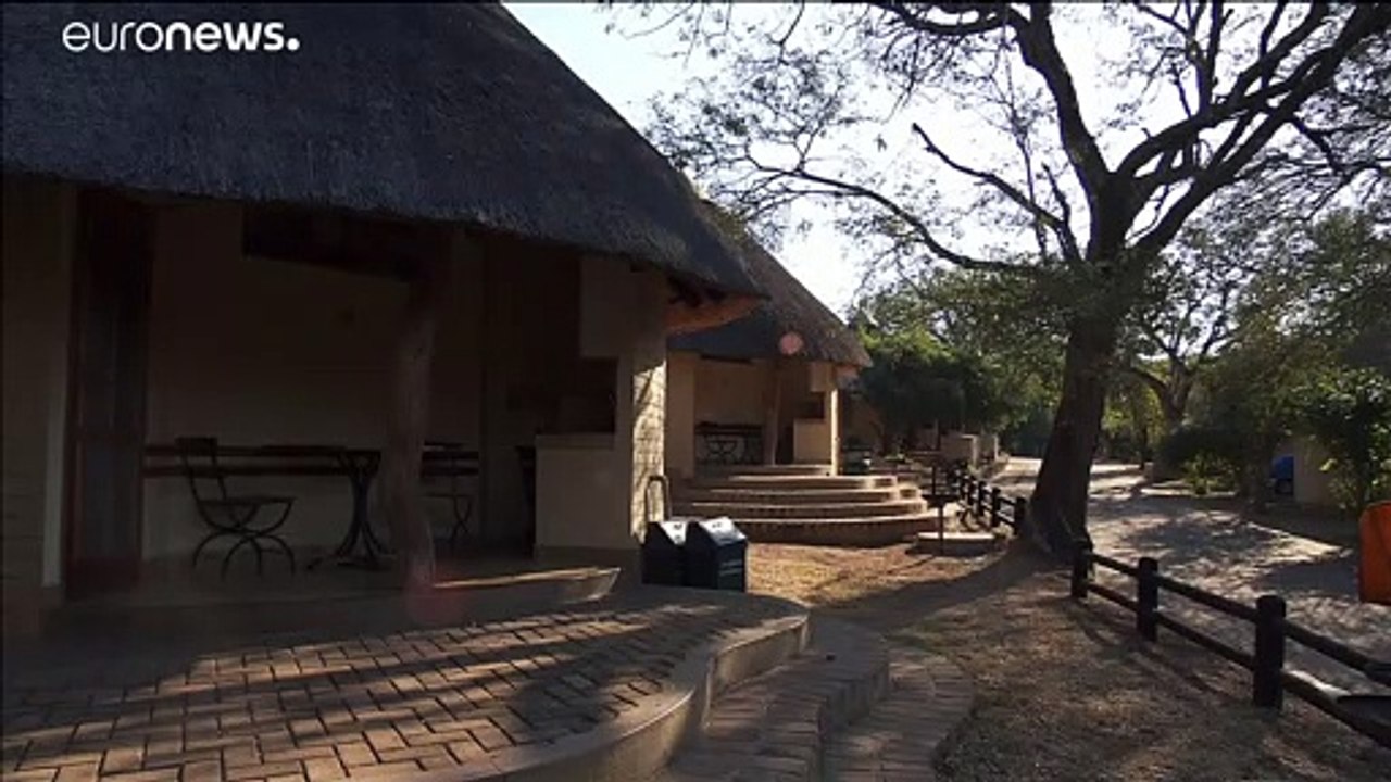 Gegen den Hunger: Brutale Wilderei mit Stacheldraht