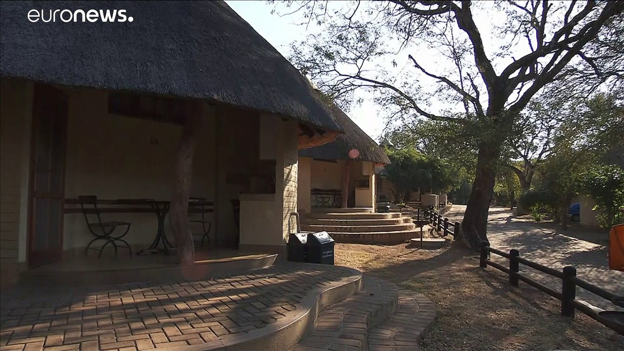 Caça-furtiva de rinocerontes cai na África do Sul