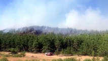 Menderes'te orman yangını (2) - İZMİR