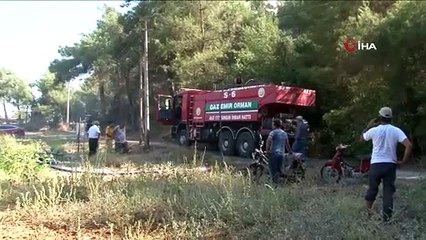 İzmir'de dört noktada çıkan yangınlara müdahale devam ediyor