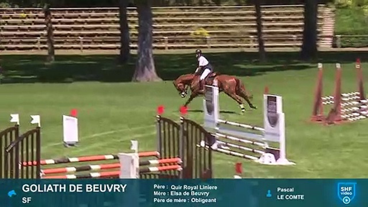 goliath 202007201 compiegne